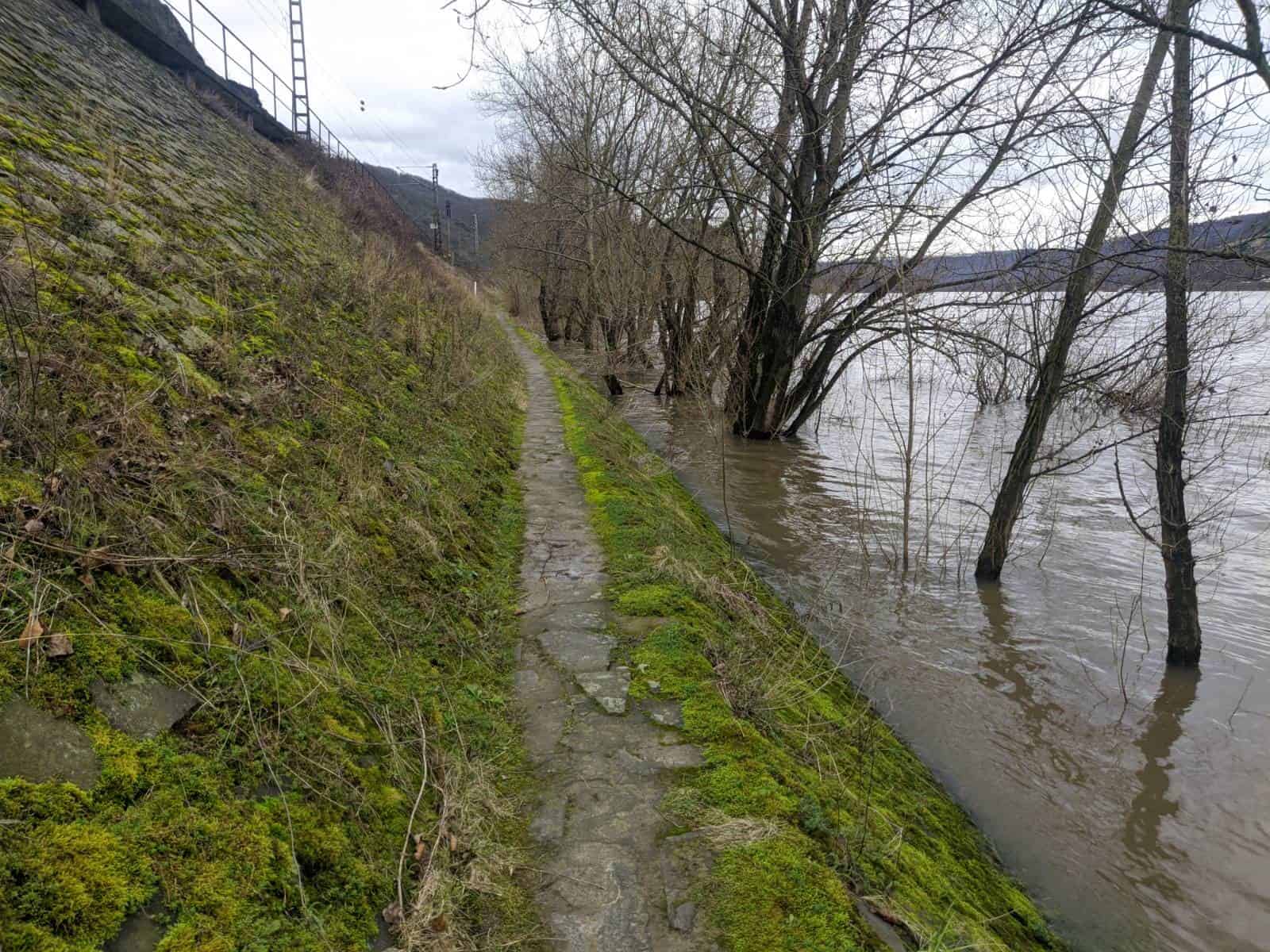 Sometimes my path followed mere inches from the Rhine