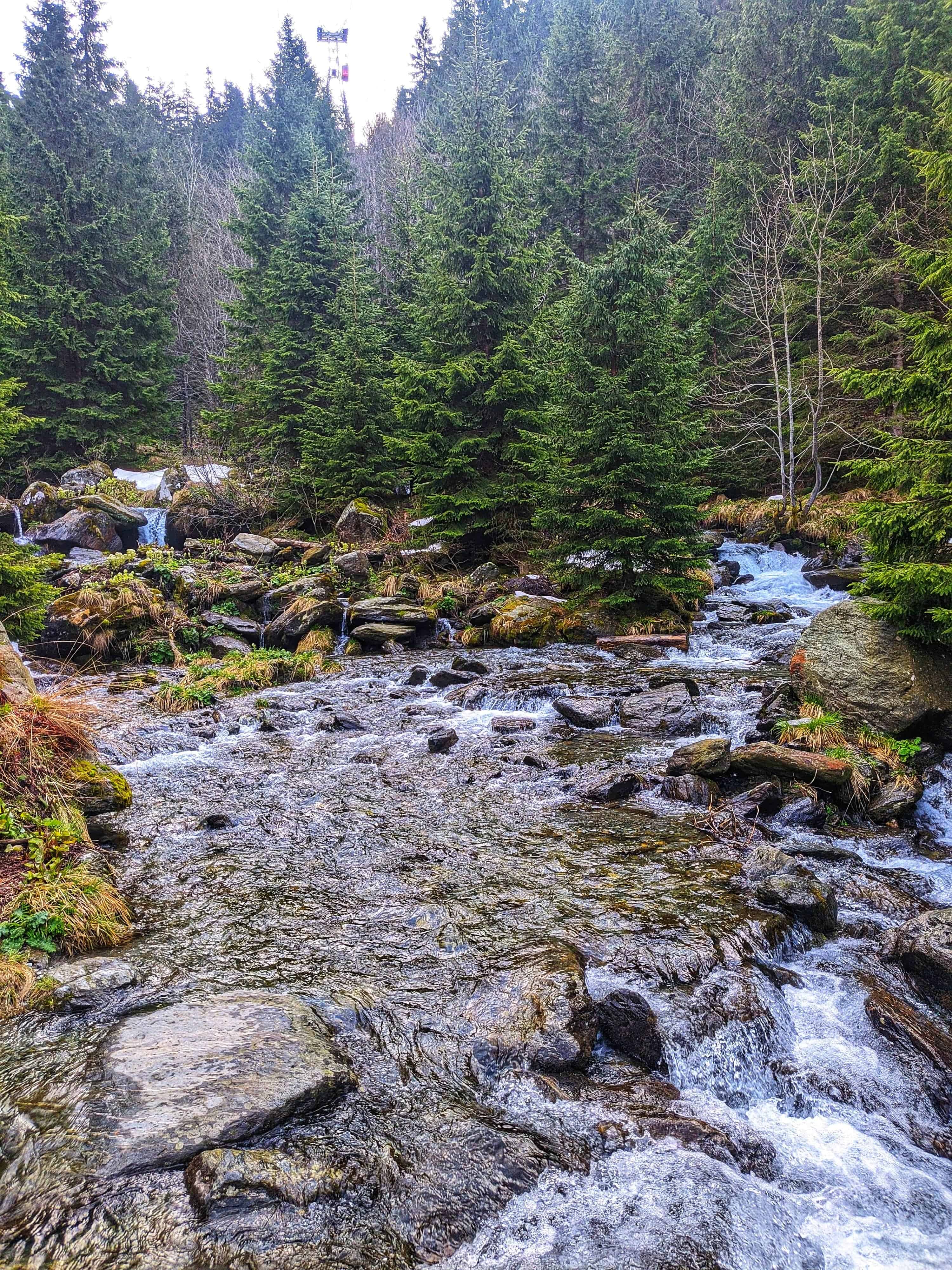 A little downstream from Bâlea waterfall